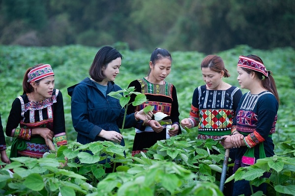 Việt Nam khẳng định vị thế và cam kết chiến lược tại Phiên đối thoại với Ủy ban CEDAW -0