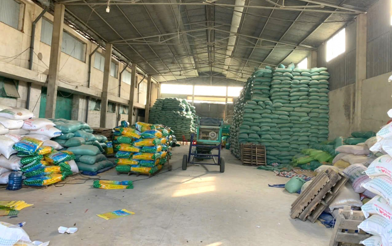 Mở kho “chui” rồi sản xuất hàng trăm tấn lúa giống giả -0