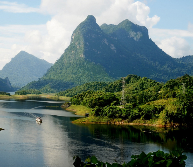 Rừng hoa xuân tuyết bay_ANTGCT_TET2026_T20 -0