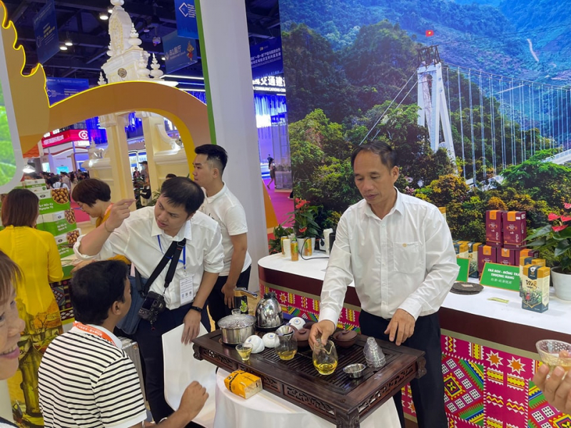 Lên Tà Xùa uống trà Shan tuyết_ANTGCT_TET2026_T25 -0