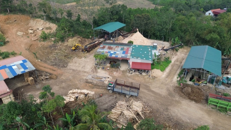 Bao giờ mới xử lý dứt điểm tình trạng thu mua, chế biến gỗ trái phép? -0