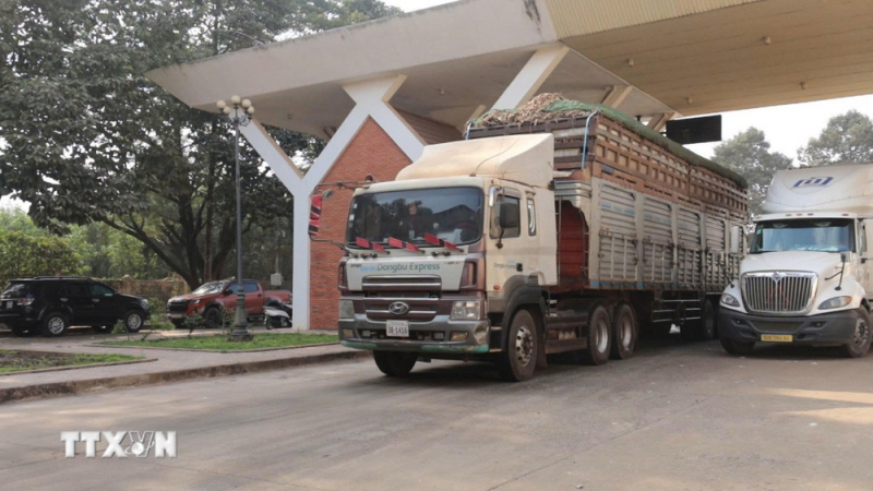 Khẩn trương giải tỏa ách tắc, thông quan kịp thời thực phẩm, hàng hóa -0