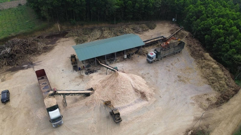 Bao giờ mới xử lý dứt điểm tình trạng thu mua, chế biến gỗ trái phép? -0