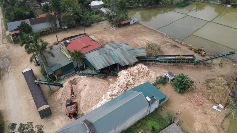 Bao giờ mới xử lý dứt điểm tình trạng thu mua, chế biến gỗ trái phép? -0