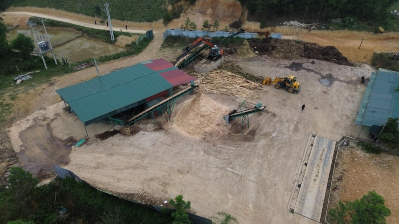 Bao giờ mới xử lý dứt điểm tình trạng thu mua, chế biến gỗ trái phép? -0