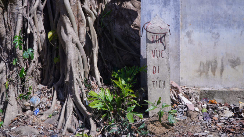 3 Cây cổ thụ hàng trăm năm tại khu vực di tích đình làng Lại Ân bị cưa trụi cành -0