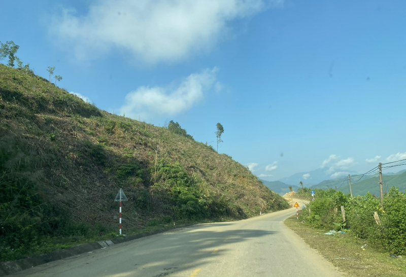 Nắng xuân ấm áp Trà Vân -0