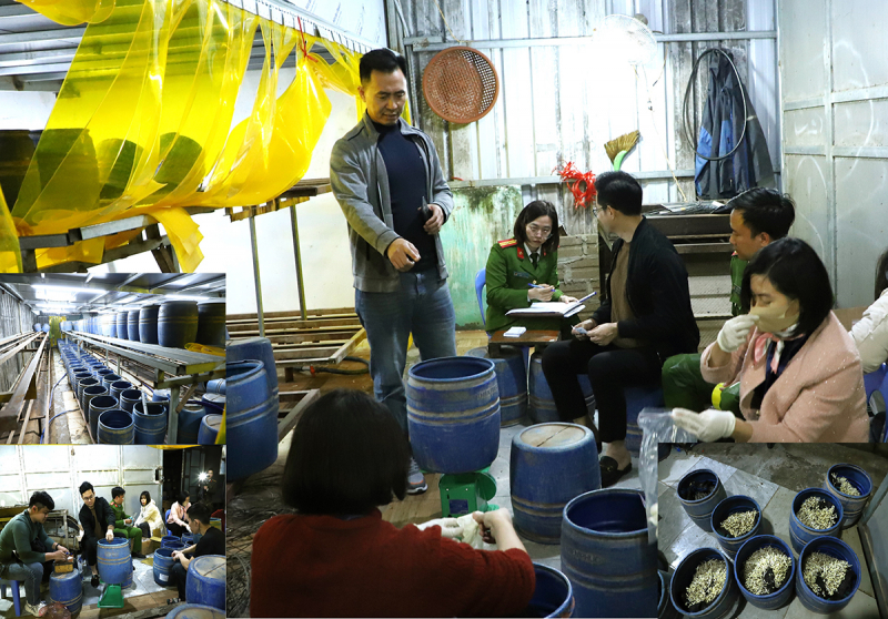 Khởi tố, bắt tạm giam đối tượng sản xuất gần 2,8 tấn giá đỗ bằng chất cấm -0