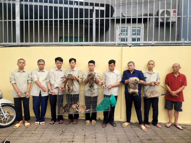 Triệt phá nhóm đối tượng chuyên trộm cắp mèo số lượng lớn -0