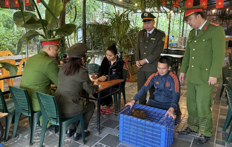 Kiểm soát vi phạm pháp luật liên quan đến động vật hoang dã -0