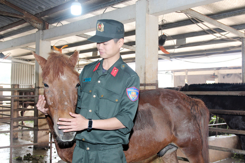 Kể chuyện Cảnh sát cơ động kỵ binh -2