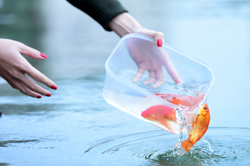 tu-c tha- ca´ ve^` cha^`u tro-`i nga`y 23 tha´ng cha-p.jpg -0