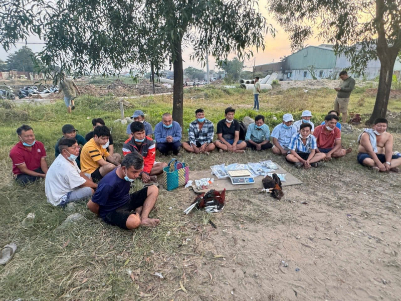 Triệt phá các tụ điểm đá gà, tạo sức răn đe cao dịp Tết Nguyên đán Bính Ngọ 2026 -0