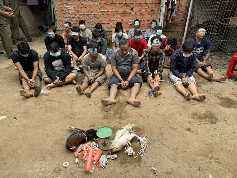 Triệt phá các tụ điểm đá gà, tạo sức răn đe cao dịp Tết Nguyên đán Bính Ngọ 2026 -4