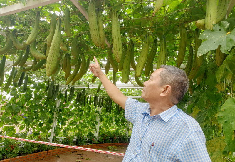          Đại cảnh linh vật “Xích mã Thăng Long” ở phố biển Tuy Hòa sống động, hoành tráng -0