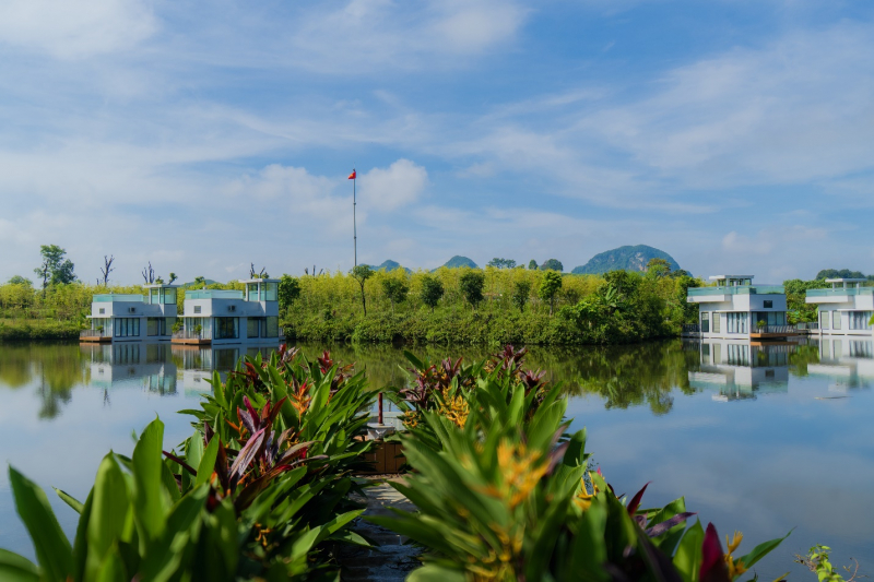 Tấm vé “hồi hương” của giới tinh hoa -0