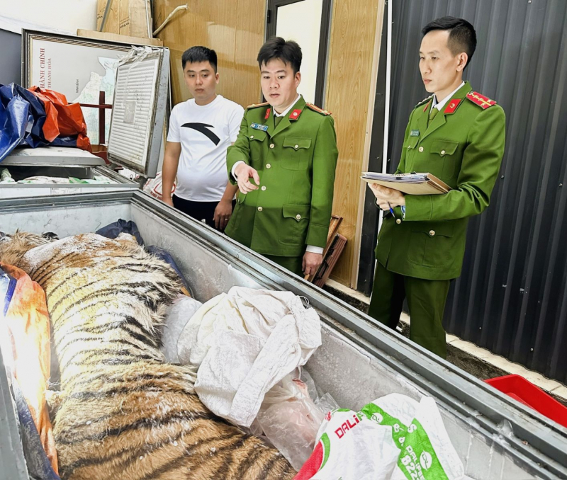 Mua hổ về nấu cao, 2 đối tượng ở Thanh Hoá bị khởi tố -0