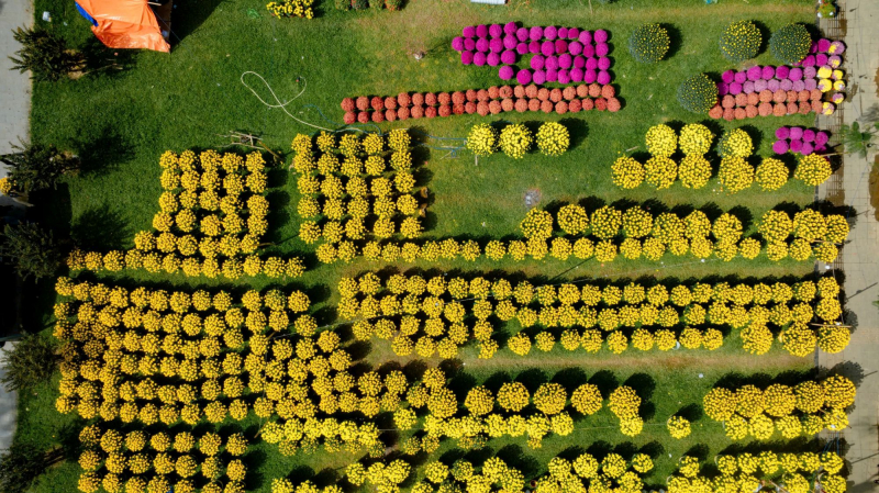 Rực rỡ sắc màu hoa Tết ở Cố đô Huế -1