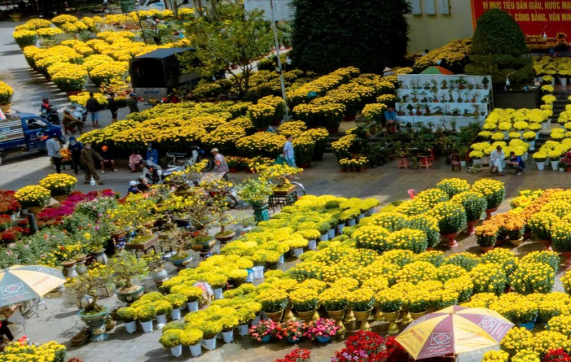 Rực rỡ sắc màu hoa Tết ở Cố đô Huế -1