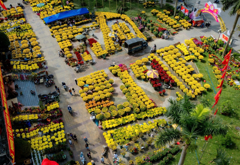 Rực rỡ sắc màu hoa Tết ở Cố đô Huế -0
