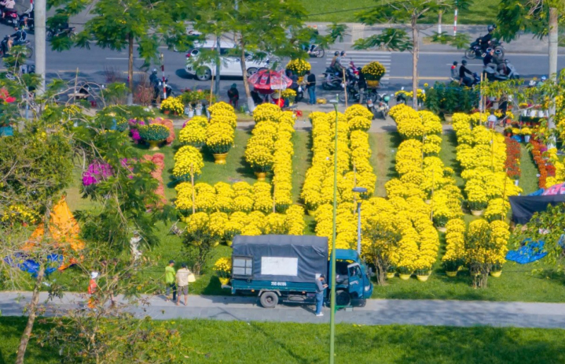Rực rỡ sắc màu hoa Tết ở Cố đô Huế -1