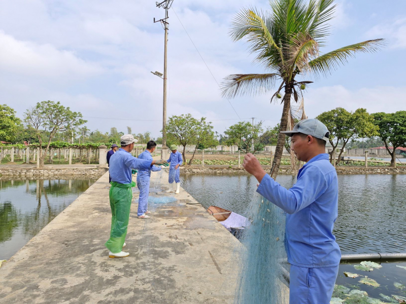 Không khí đón Tết ở các Cơ sở cai nghiện tỉnh Thanh Hóa -0