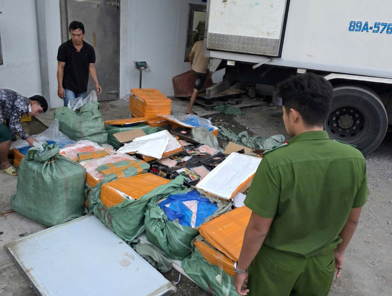 TP Hồ Chí Minh: Thu giữ hơn 28,8 tấn thực phẩm đông lạnh 