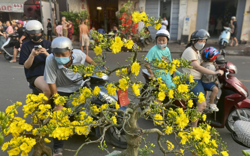 Chiều tối 28 tháng Chạp: Người dân TP Hồ Chí Minh tất bật mang Xuân về nhà -3