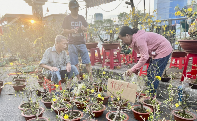 Chiều tối 28 tháng Chạp: Người dân TP Hồ Chí Minh tất bật mang Xuân về nhà -2