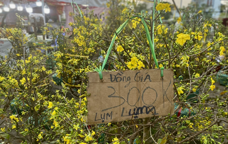 Chiều tối 28 tháng Chạp: Người dân TP Hồ Chí Minh tất bật mang Xuân về nhà -5