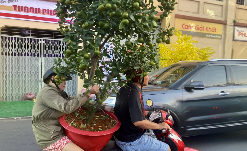 Chiều tối 28 tháng Chạp: Người dân TP Hồ Chí Minh tất bật mang Xuân về nhà -6