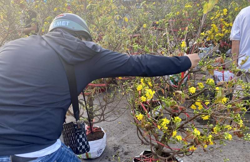 Chiều tối 28 tháng Chạp: Người dân TP Hồ Chí Minh tất bật mang Xuân về nhà -7