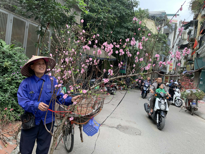 Thị trường cây cảnh giảm giá để hút khách -0