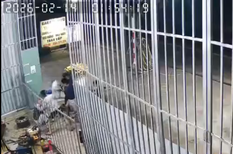 Bắt nhanh 8 đối tượng manh động, chặn đường người về quê đón Tết để 'xin đểu', cướp tài sản  -0