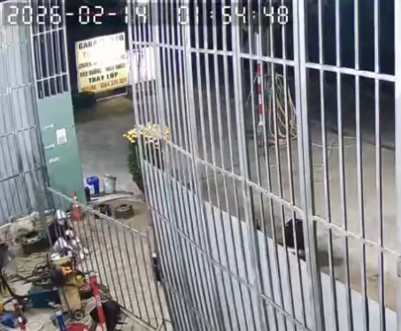 Bắt nhanh 8 đối tượng manh động, chặn đường người về quê đón Tết để 'xin đểu', cướp tài sản  -0