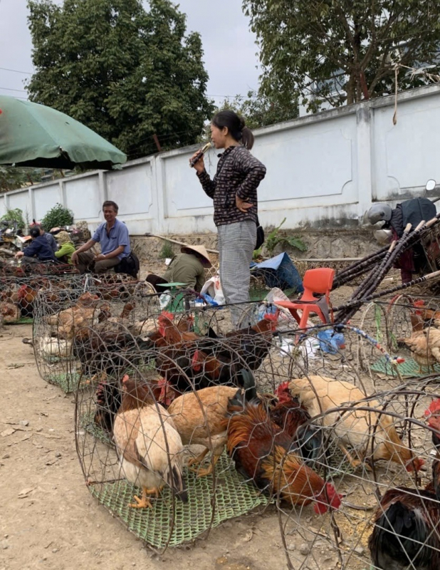 Ngày 28 Tết: Sức mua tăng, thị trường vẫn giữ giá ổn định -0