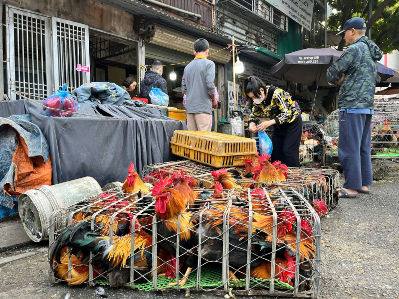 Nhộn nhịp phiên chợ cuối năm: Người dân đi chợ từ 6 giờ sáng -0