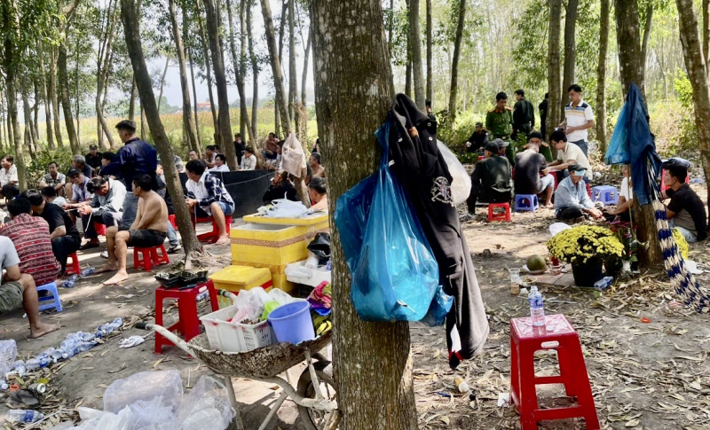 Triệt phá trường gà trong rừng cây sát phạt ăn thua tiền tỷ -0