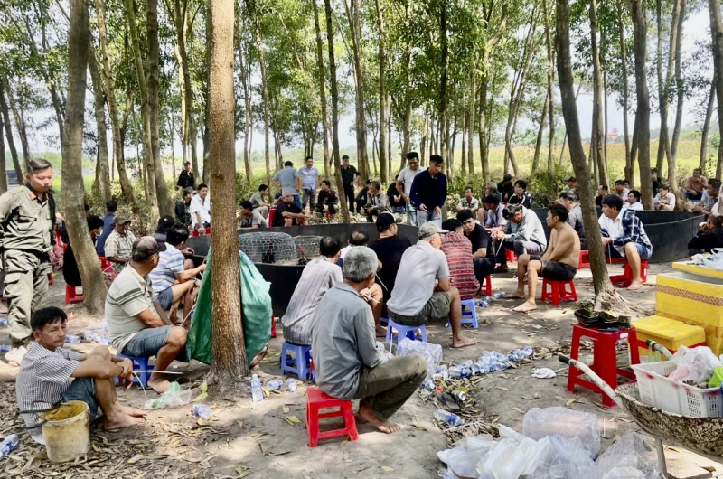 Triệt phá trường gà trong rừng cây sát phạt ăn thua tiền tỷ -0