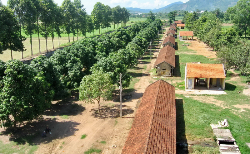 Trở lại đại bản doanh nuôi ngựa để… cứu người -0