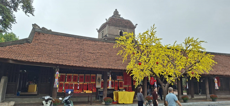 Đại sứ Pháp và trải nghiệm trọn vẹn hành trình Tết Việt -0