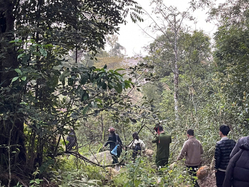 Đưa 4 du khách bị lạc trong rừng Yên Tử về nơi an toàn -0