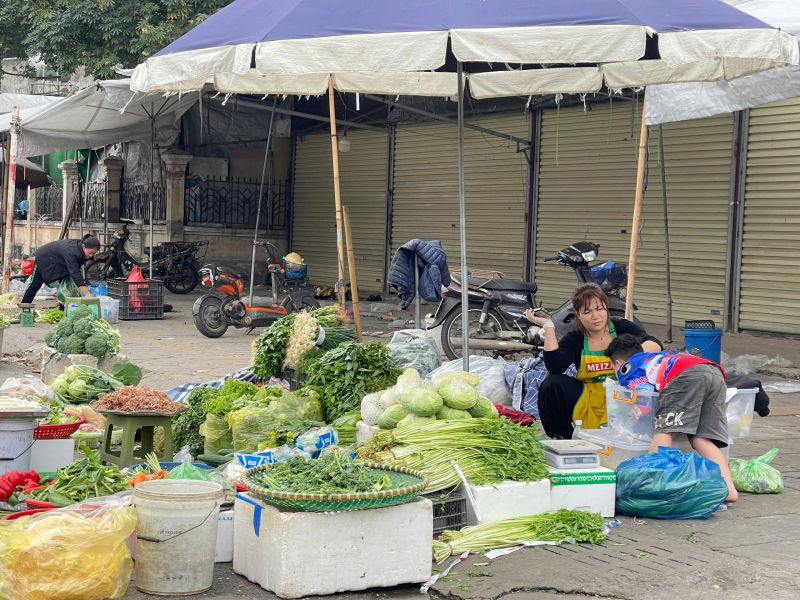 Mùng 4 Tết Bính Ngọ 2026: Thị trường “vào guồng”, cung dồi dào, giá ổn định -0