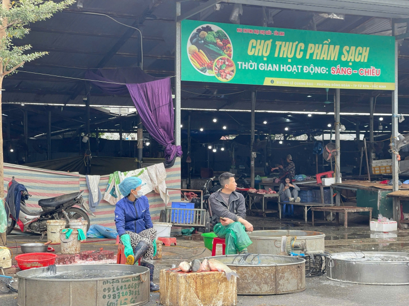 Mùng 4 Tết Bính Ngọ 2026: Thị trường “vào guồng”, cung dồi dào, giá ổn định -0