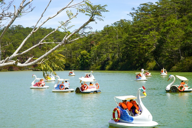 Đà Lạt bùng nổ khách dịp Tết Bính Ngọ 2026 -0