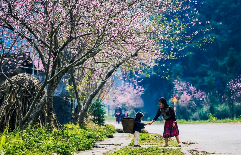 Miền Bắc trưa chiều nắng ấm, rét về đêm -0