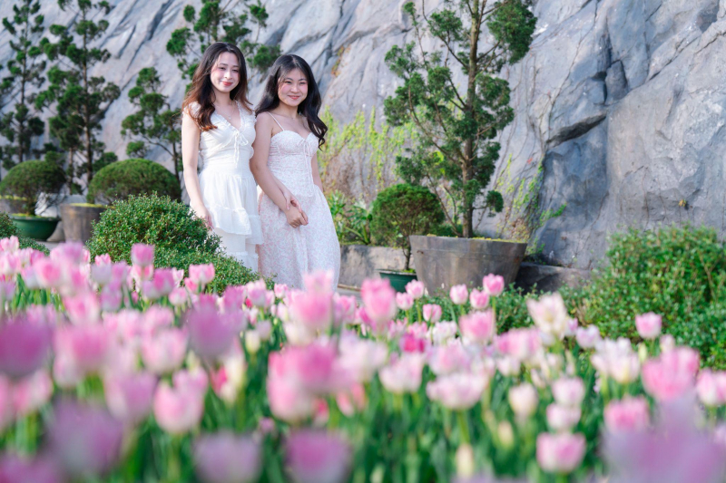 Hàng nghìn du khách đón Tết Bính Ngọ cùng hơn triệu bông tulip tại Sun World Ba Na Hills -0