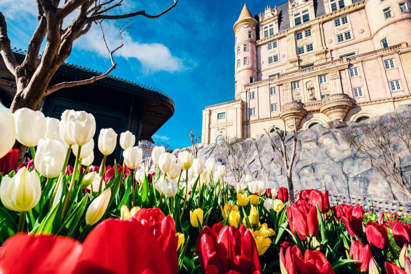Hàng nghìn du khách đón Tết Bính Ngọ cùng hơn triệu bông tulip tại Sun World Ba Na Hills -0