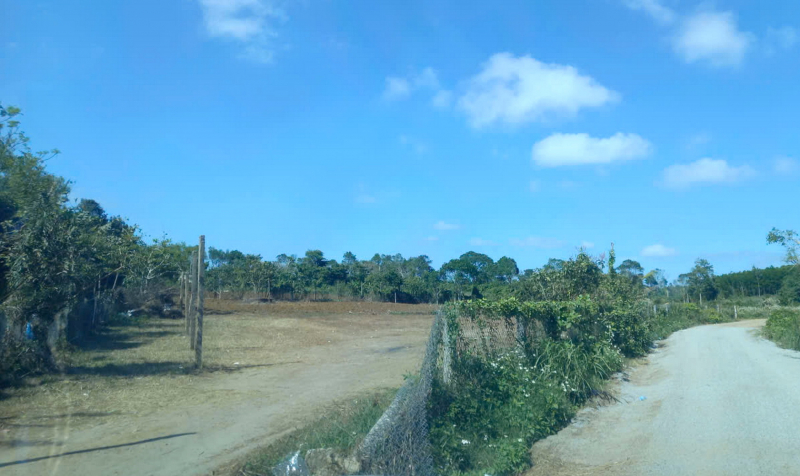 Từ phản ánh của Báo CAND, bãi giữ xe ô tô tự phát ở phía Đông Đắk Lắk đã được xử lý -0