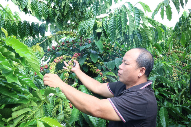 Agriculture sector on path to 74 billion USD in export revenue -0